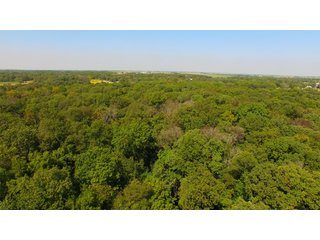 Property photo 33 - MAJOR ILLINOIS LAND AUCTION - 752.54+/- ACRES OFFERED IN 9 TRACTS IN KANKAKEE COUNTY, ILLINOIS